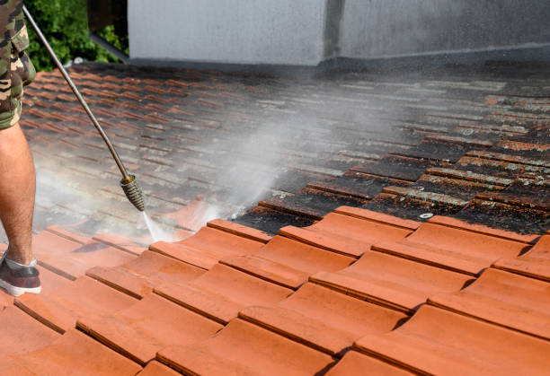 Best Commercial Building Pressure Washing  in Mked Tree, AR