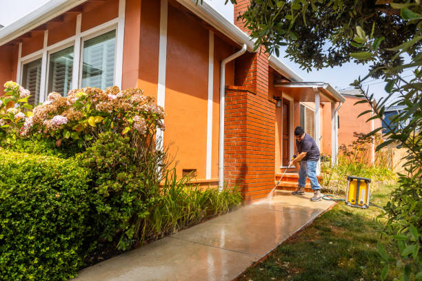Best Residential Pressure Washing Services  in Mked Tree, AR