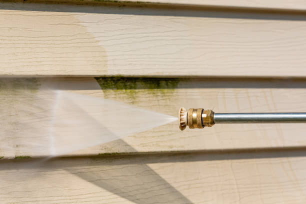 Best Affordable Power Washing  in Mked Tree, AR