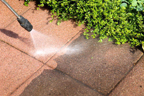 Best Best Pressure Washing Companies  in Mked Tree, AR