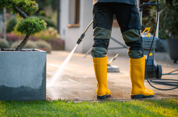 Best Affordable Power Washing  in Mked Tree, AR